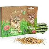 PRETTY KITTY Premium Katzengras Saatmischung: 5 Beutel je 25g Katzengras Samen für 50...