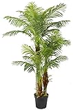 Große Künstliche Palme Deluxe 180cm mit 3 Stämmen und 30 Palmenwedel Kunstpflanze...