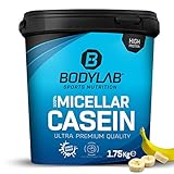 Bodylab24 Casein Micellar Banane 1750g, 100% pures Casein, reich an BCAA-Aminosäuren,...