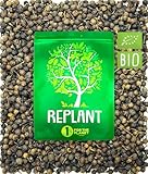 REPLANT – BIO-Kubebenpfeffer – 100g – Indonesien Grand Cru 2023 – Ganzes schwarzes...