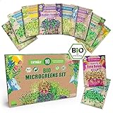 ZenGreens® - Bio Sprossen Samen - im 6er, 10er und 20er Set - Brokkoli, Alfalfa,...