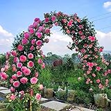 SVRITE Gartenbogen-Spalier, Metall-Gartenlaube für den Außenbereich für...