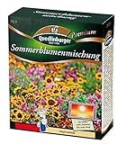 Sommerblumenmischung (ohne Gräser) NEU