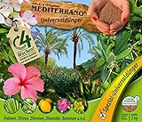 Mediterrano Spezialdünger für mediterrane Pflanzen 3Kg