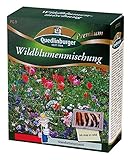 Wildblumenmischung (ohne Gräser) 200g für 200m²